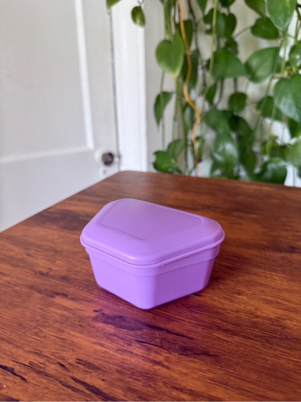 Purple Stackable Plastic Storage Box - Unbranded Zirc Denture Box